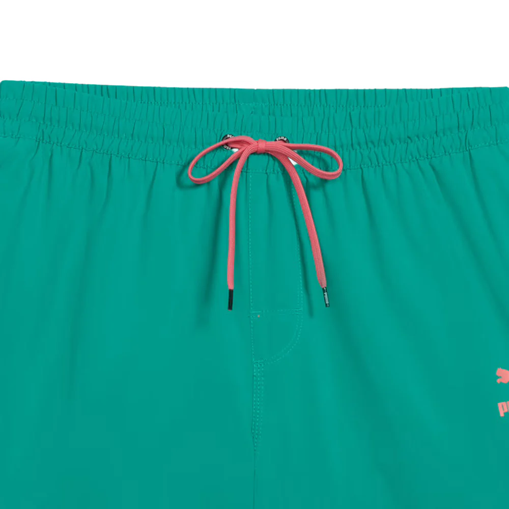 Archive 5.5 Inch Swim Trunks - Image 4