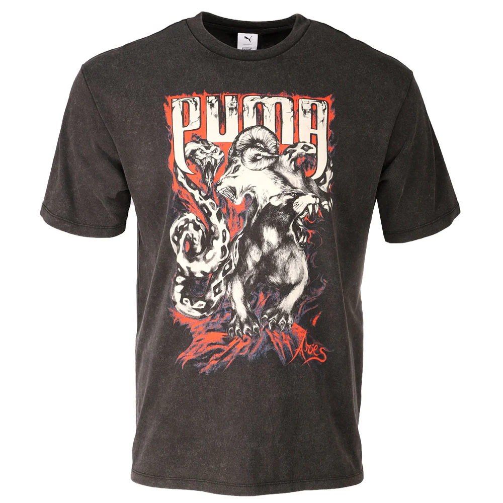 PUMA X ARIES Graphic Crew Neck Short Sleeve T-Shirt