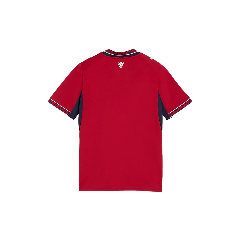 Czechia Henley Neck Short Sleeve Home Jersey Replica (Youth) - Image 2