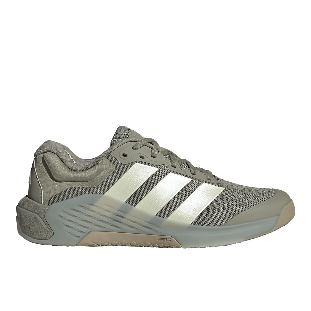 Dropset 4 Training Shoes