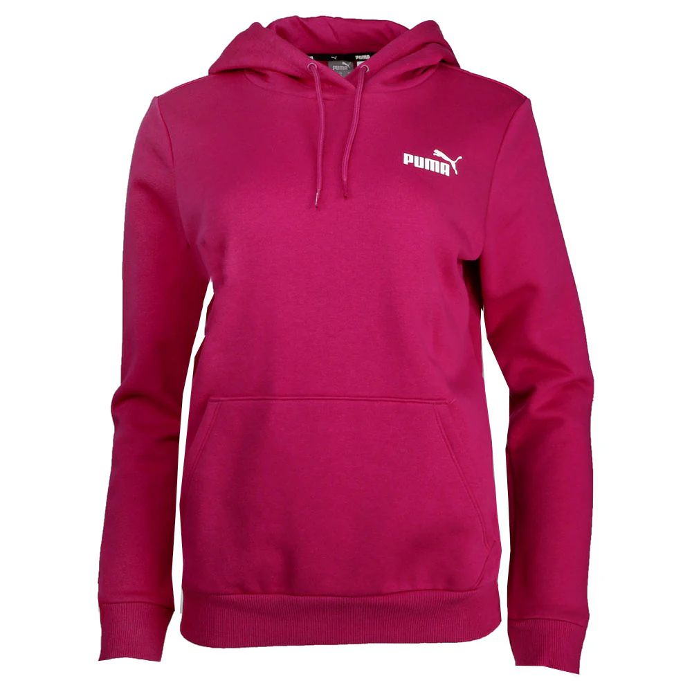Essentials Small Logo Pullover Hoodie