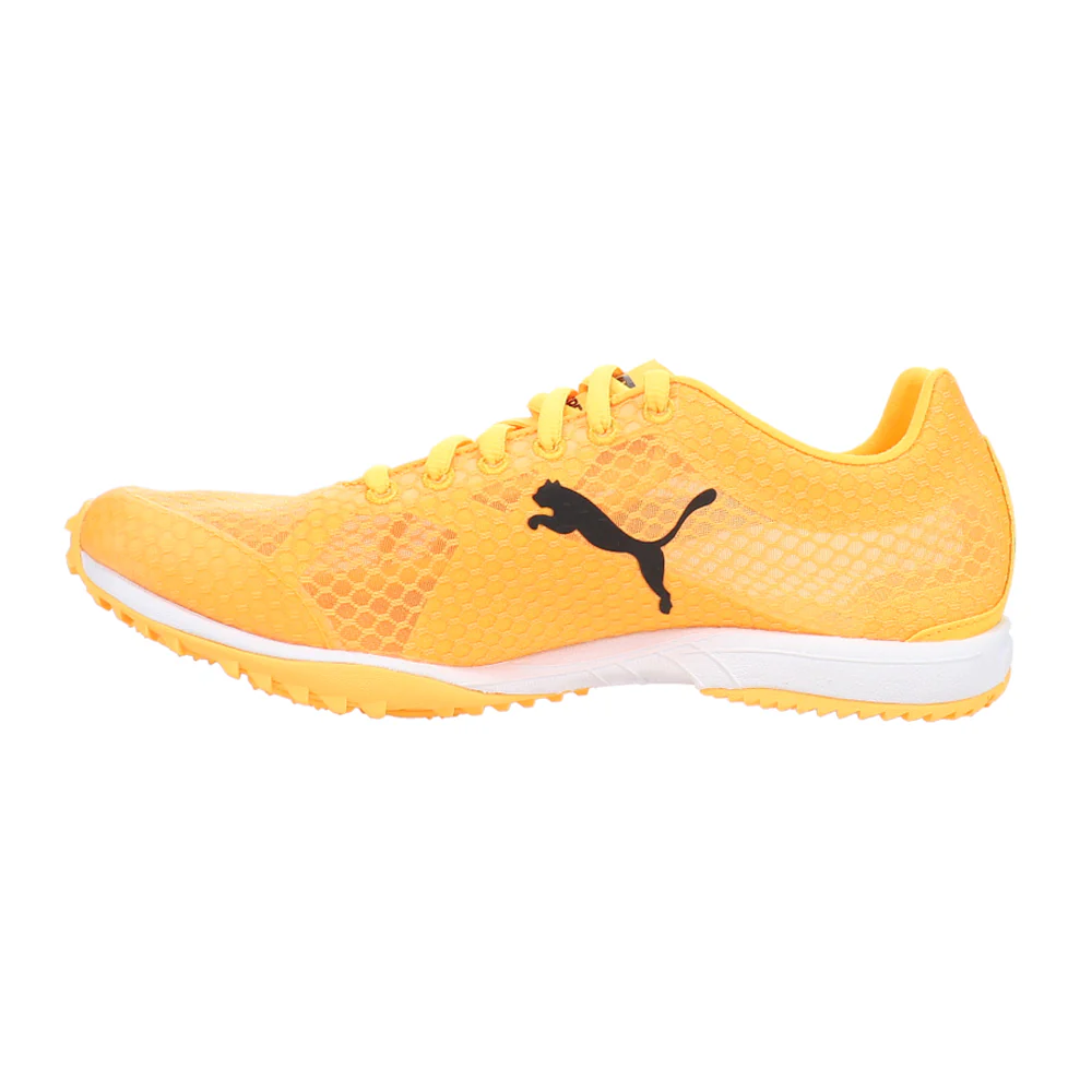 Evospeed Haraka 8 Track & Field Shoes - Image 3