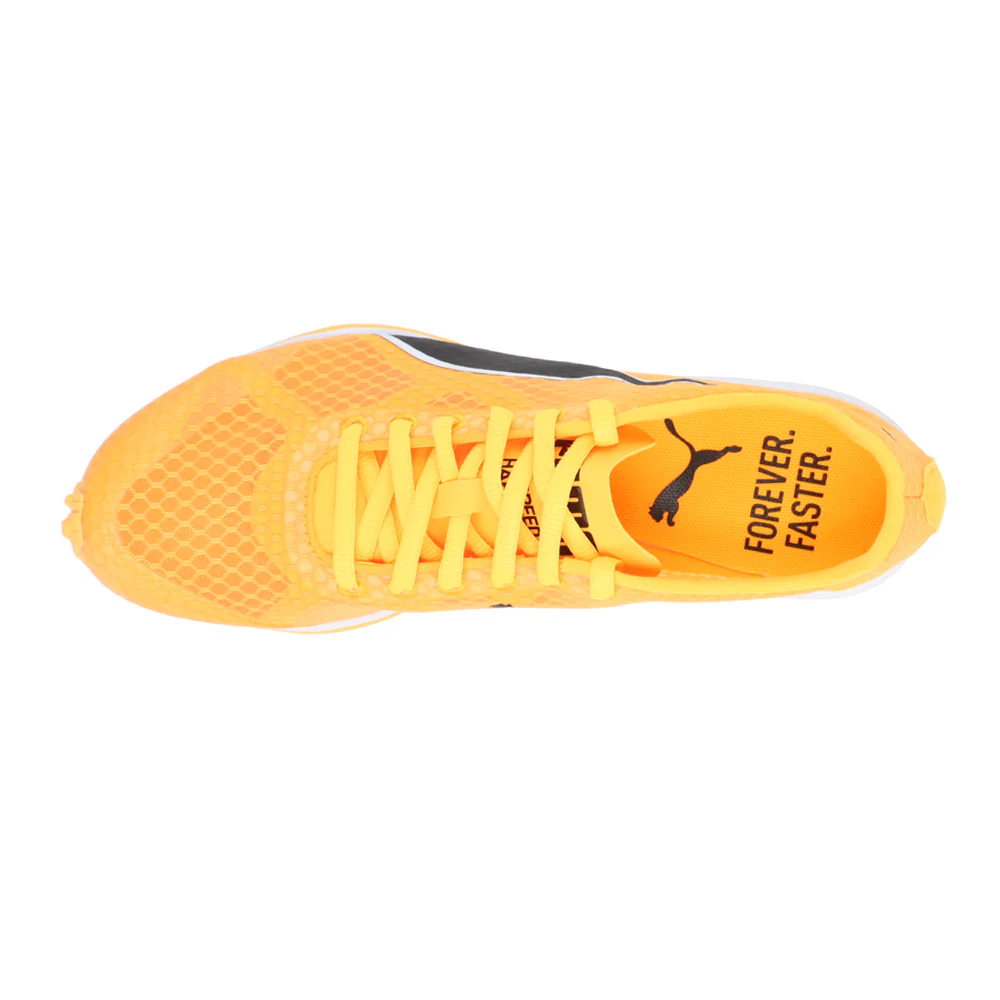 Evospeed Haraka 8 Track & Field Shoes - Image 4