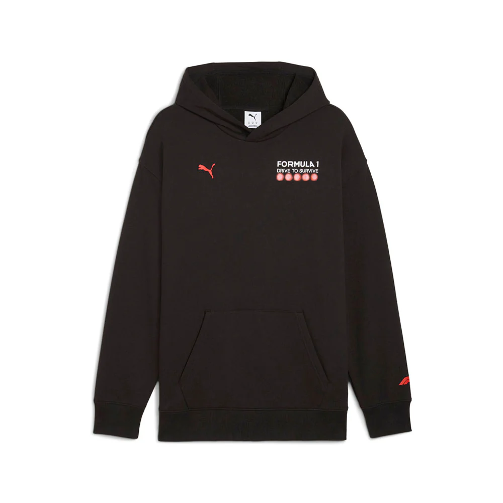 F1 Drive To Survive Long Sleeve Pullover Hoodie