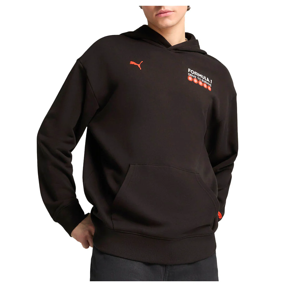 F1 Drive To Survive Long Sleeve Pullover Hoodie - Image 3