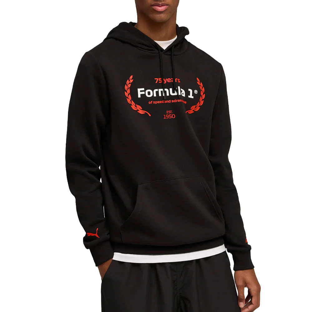 F1 Essentials Logo Graphic Pullover Hoodie - Image 3