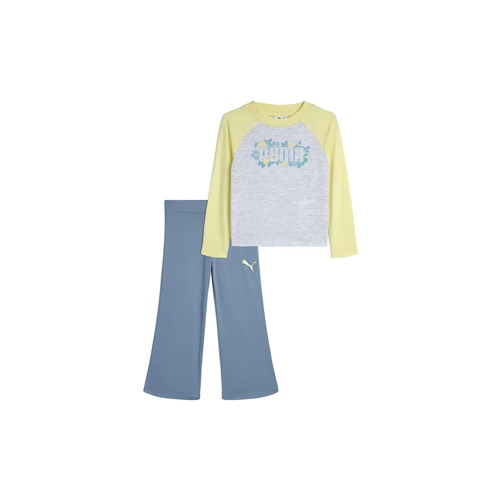 Matching Sets Crew Neck Long Sleeve T-Shirt & Leggings (Toddler)