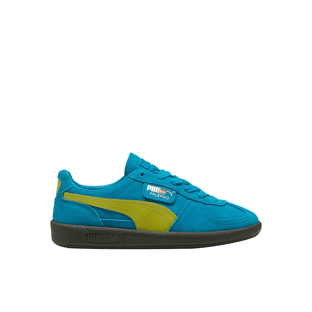 Palermo Lace Up Sneakers (Big Kid)
