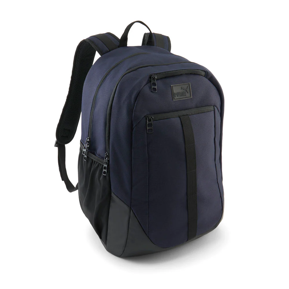 Regenerate 2 Backpack