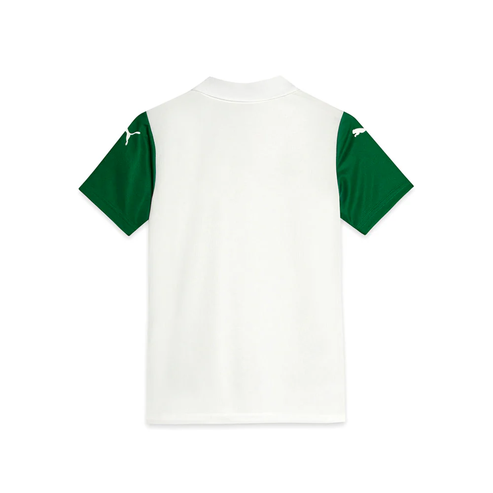SE Palmeiras Torcedor '25 Away Soccer Jersey (Youth) - Image 2