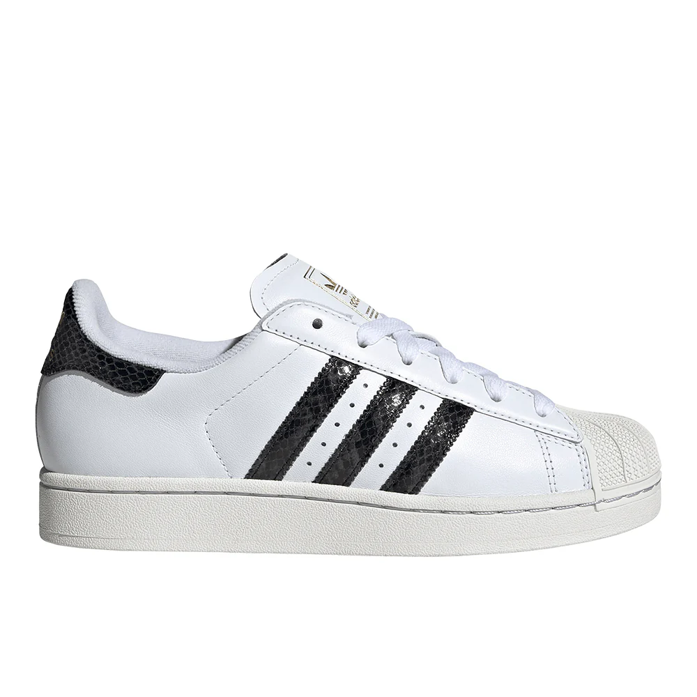 Superstar II Lace Up Sneakers