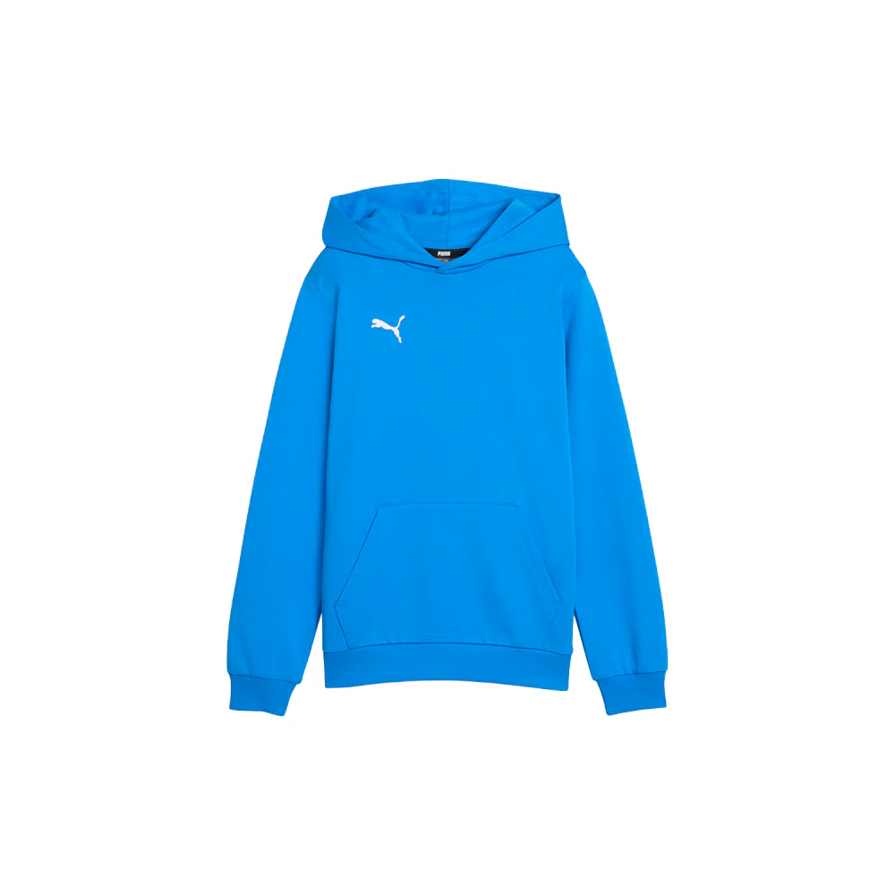 Teamgoal Casuals Pullover Hoodie (Youth)