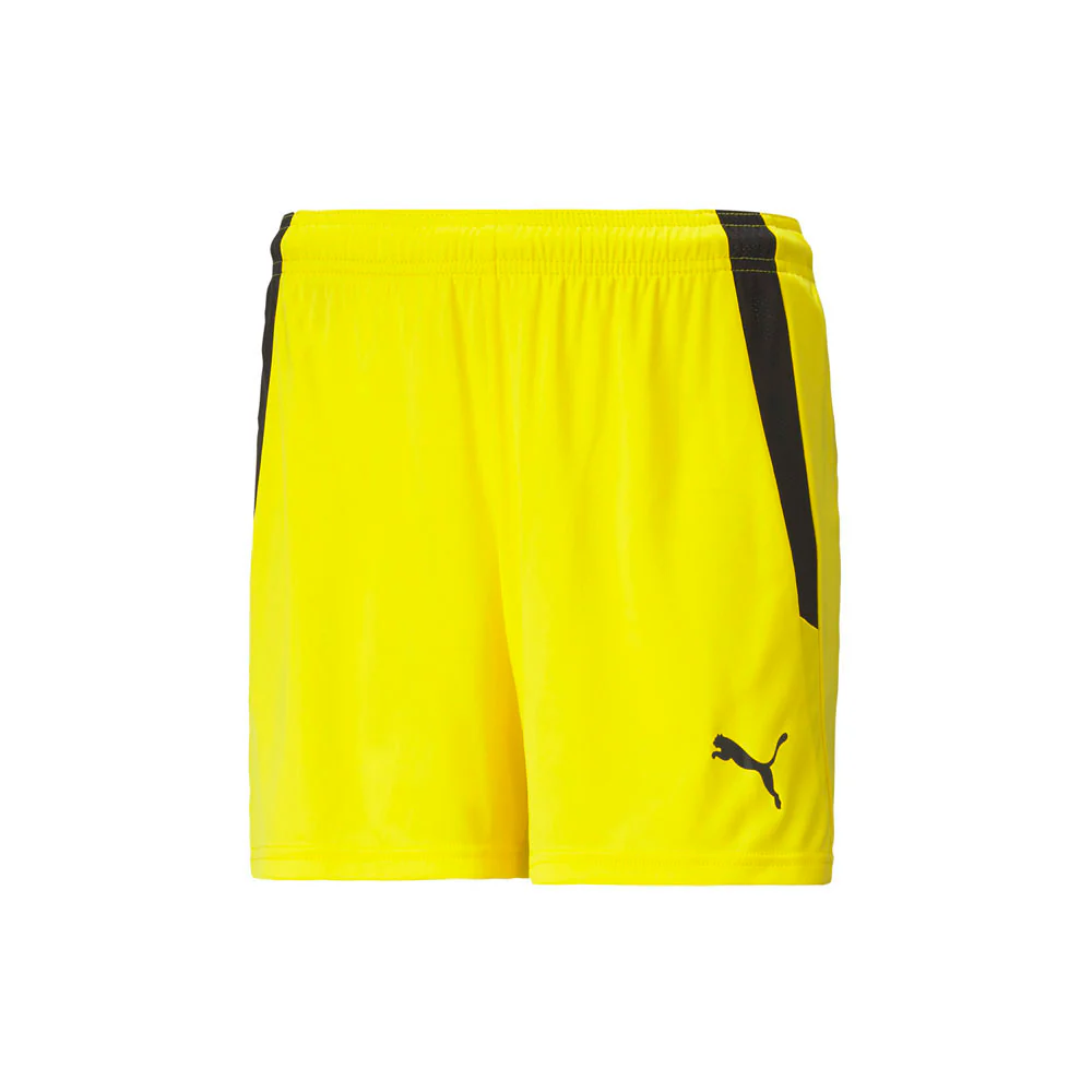 TeamLiga Soccer Shorts